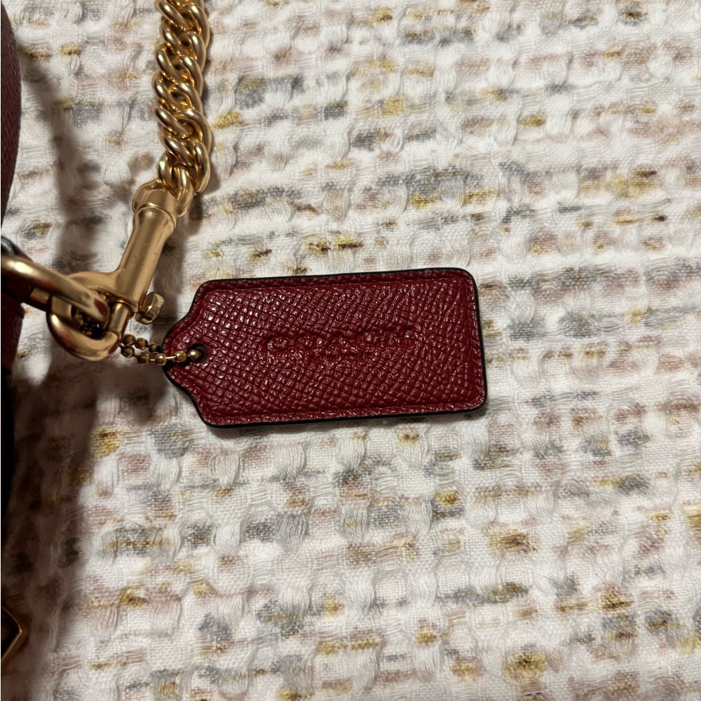 Coach Brown Heart-Shaped Mini Crossbody with Floral & Pink Heart Accents - Picture 4 of 4